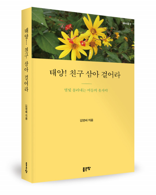 김영배 지음, 좋은땅출판사, 348쪽, 1만9000원